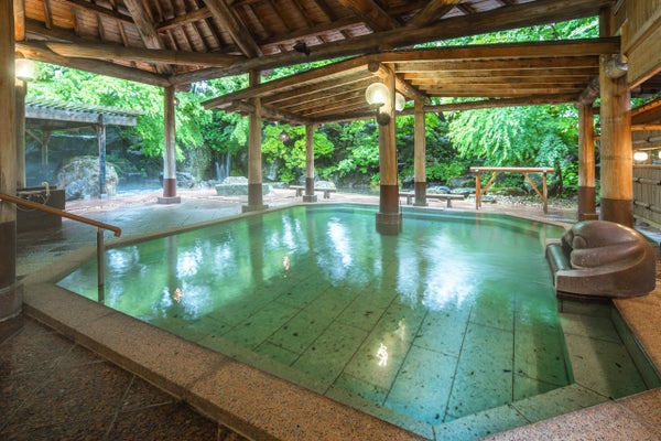 【JR津田沼・船橋競馬場駅・JR西船橋発】5つ星の宿 水上温泉「源泉湯の宿松乃井」で過ごすご褒美旅2日間<コースNo.24-1121-A>(京成トラベルサービス)1